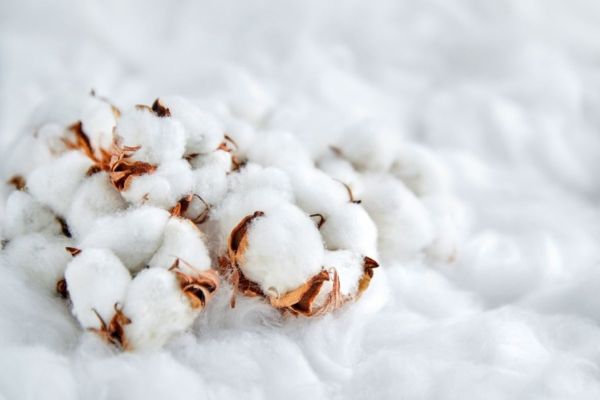 Types of Cotton Fabric for Your Bedding