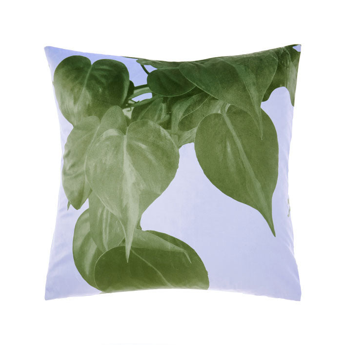 Shakira Leaf Square Filled Cushion